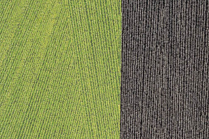 Ковровая плитка Milliken Facet ftr 79-103-141 Lime Anthracite фото  | FLOORDEALER